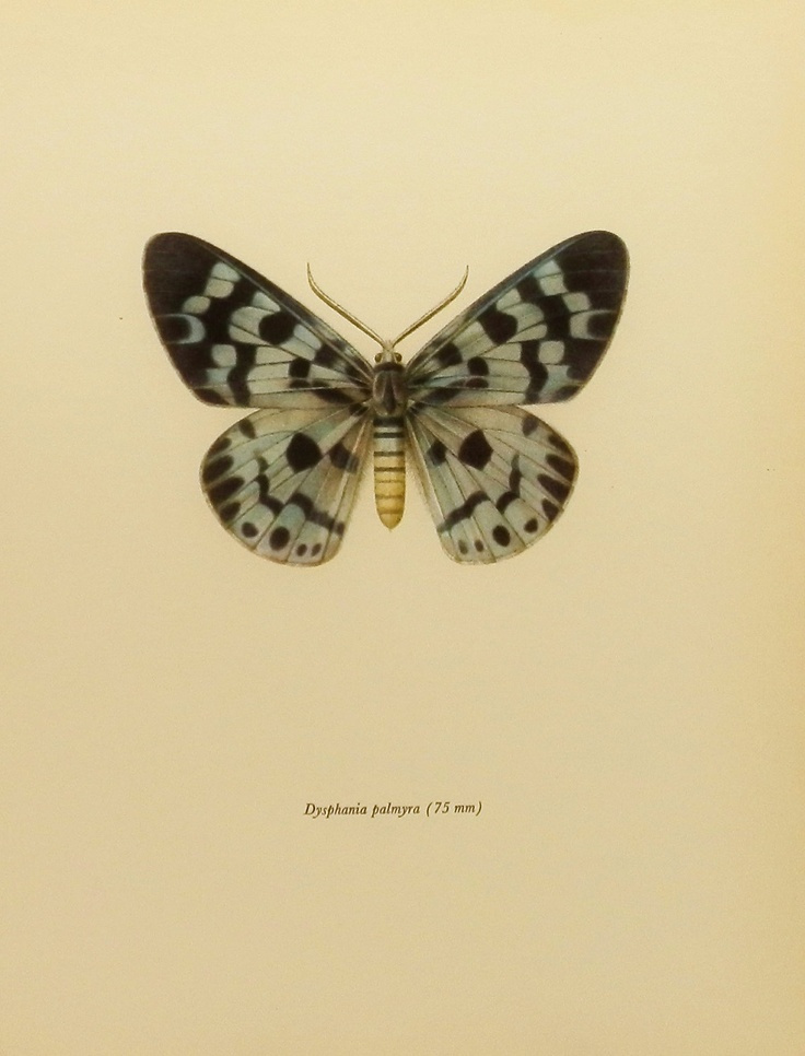 349c13ae2400627c95f6d1ab1ac37407