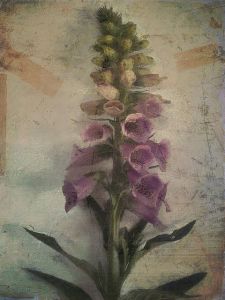 floral 11